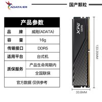 移动端：REAL DDR5 6000MHz 台式机内存条