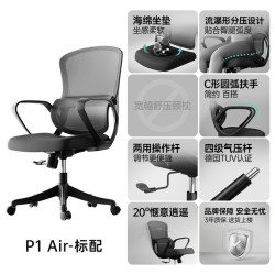 黑白调 P1 Air人体工学椅电脑椅子办公椅电竞椅久坐人工力学座椅 有颈枕 霜白