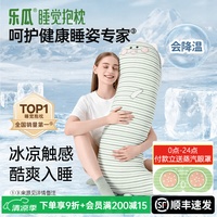 乐瓜 凉感可拆洗 加大恐龙-冰凉款 长条抱枕