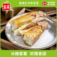 宝菜 河南 白薯 4.3-4.6斤 单果100g+