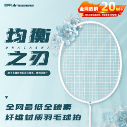 DRACAENA 黄厂均衡之刃碳素纤维羽毛球
