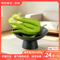京东鲜花 碎冰蓝玫瑰50cm-60cm10枝云南基地源头直发