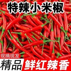 云南新鲜小米辣椒小米椒超辣五七彩辣椒指天椒特辣蔬菜农家自种  250g带箱