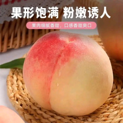 京鲜生 现货正宗无锡阳山水蜜桃 6粒礼盒装（单果6-7两）