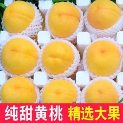 无品牌 正宗锦绣黄桃新鲜时令水果带箱4.5斤