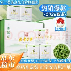 宋一 茶叶礼盒绿茶安吉白茶特级2026新茶明前茶250g