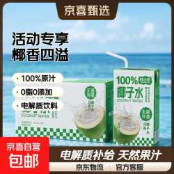 颜小萌 椰子水 电解质补水果汁饮料 250ml*10盒