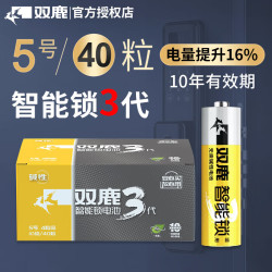 双鹿 电池智能锁电池碱性5号适用指纹锁/电子门锁小米TCL德施曼PHILIPS鹿客VOC凯迪仕LR6/AA