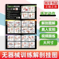 3册套 拉伸训练彩色图谱+肌肉力量训练彩色图谱+无器械力量训练彩色图谱 运动健身健美训练书健身书籍