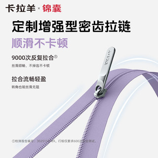 卡拉羊 云朵箱3.0 8维防刮抗摔 20英寸 拉杆旅行箱