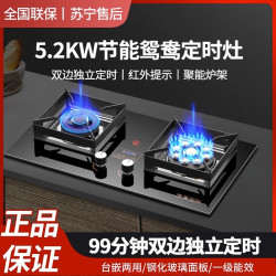 荣事达 双灶家用台式嵌入式煤气灶液化气灶定时天然气