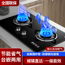 荣事达 灶双灶台嵌入式两用天然气煤气灶液化气猛火灶