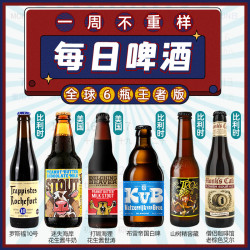 击倒巨人 全球精酿啤酒组合罗斯福迷失海岸打嗝海狸诱惑艾丁格女士果酒 6瓶