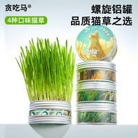 贪吃马 猫草猫咪零食无土懒人猫草猫零食宠物猫草猫咪化毛猫用品