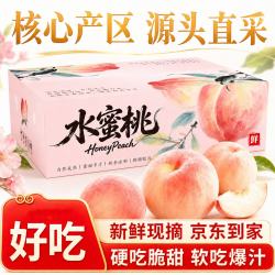 果领队 江苏新沂白凤水蜜桃 3-4两 12枚礼盒装 3.6斤