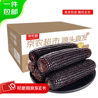 京农超 东北黑糯玉米 200g*8支 真空包装