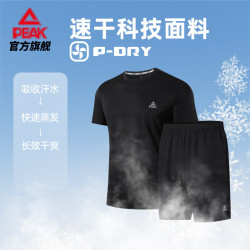 匹克 男款运动套装 DF152020