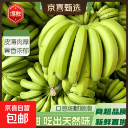 京喜通 广西 高山香蕉 9斤 自然熟 新鲜采摘