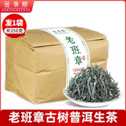 班章醇 老班章普洱茶生茶散茶新茶春茶云南古树茶生普洱口粮茶茶叶自己喝