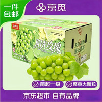 京觅 源头直发 茉莉香葡萄