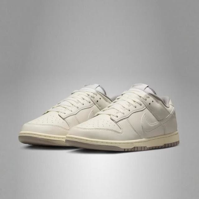 NIKE DUNK LOW RETRO 男款休闲鞋 HF5441-010