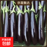 京喜 山东农家绿把紫皮长茄  2斤净重