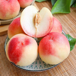 龙多鲜 山西水蜜桃  净4.5斤   果径70-75MM商超品质