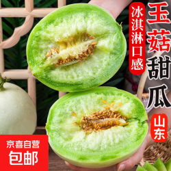 玉菇甜瓜 精选 净重8-9斤