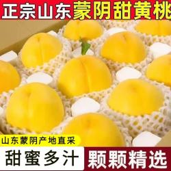 呈鲜果农 蒙阴黄桃 A+级单果100g+ 净重4.5-5斤