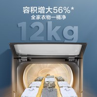 移动端：小天鹅 全新免清洗变频系列 TB100V23DB 变频直驱波轮洗衣机 10kg 玄武灰