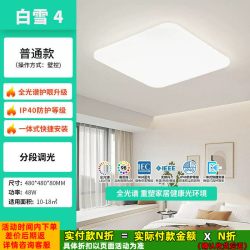 雷士 照明 现代简约吸顶灯