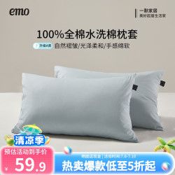 一默 枕套100%纯棉枕套单双人床上枕头套宿舍水洗棉全棉枕套一对装 天蓝 48*74cm一对装