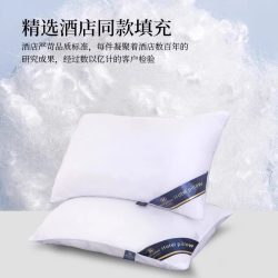 俞兆林 La Chapelle 拉夏贝尔 枕头枕芯一对装助眠护颈椎五星级酒店羽丝绒宿舍午睡家用枕头