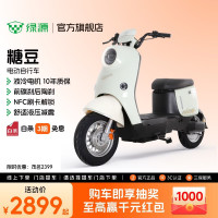 绿源 ZOF 电动自行车  LY2000DT-9