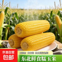京喜 东北真空黄糯玉米  2根*220g