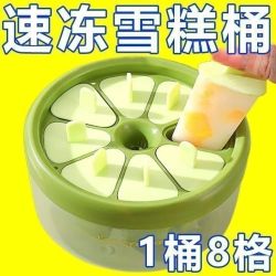 科万鸿 diy雪糕模具家用自制冰淇淋儿童冰糕冰格储冰盒冰棒冰棍模具