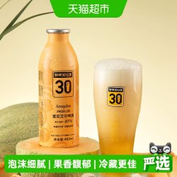 鲜啤30公里 蜜瓜艾尔啤酒 精酿 460ml*1罐