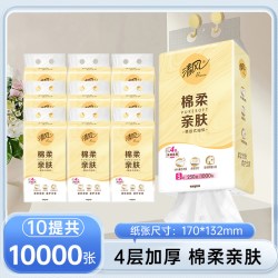 清风 X 卡皮巴拉 亲肤系列 悬挂式抽纸 4层*250抽*10提(170*132mm)