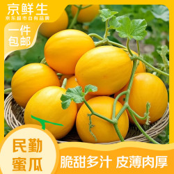京鲜生 民勤蜜瓜 3-4粒 净重8-9斤