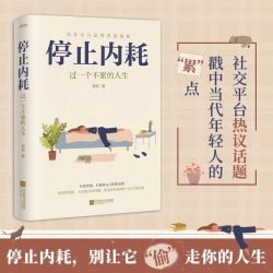 停止内耗 过一个不累的人生 掌控自己的生活 告别焦虑 心理学书籍