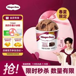 哈根达斯 双重巧克力 马卡龙冰淇淋  双重巧克力 81g