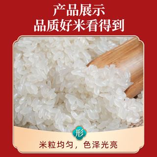五米常香 东北五常大米 粳米 优质一等