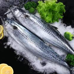 马鲛鱼500g*4条
