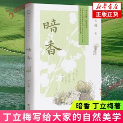 暗香+暖爱+遇见 套装3册 丁立梅散文集套装 丁立梅写给大家的自然情感生活美学