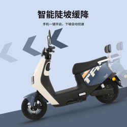 台铃 星河2025 电动摩托车