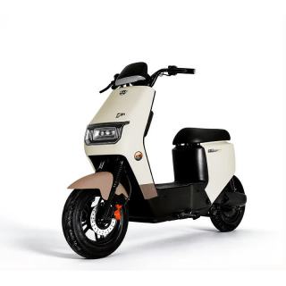 绿源 F21D 48V12Ah铅酸电池 电动自行车