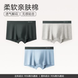 芬腾 男士内裤男夏季平角裤纯棉抗菌短裤头底裤男生全棉大码四角裤