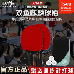 双鱼 初学者推荐 套拍 高性价比 乒乓球拍包+3球