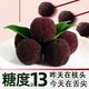 印象仙居 大果速发东魁大杨梅杨梅皇颗粒装现摘现发新鲜浙江当季水果