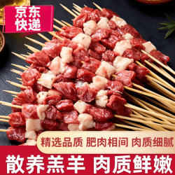 新鲜正宗 羔羊肉串 500g 20串 冷冻